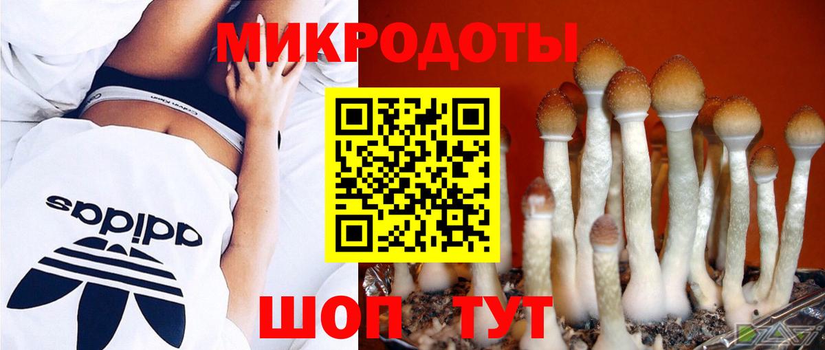 Галлюциногенные грибы мицелий  Псилоцибиновые грибы Psilocybe  Мыски  Вход с VPN 